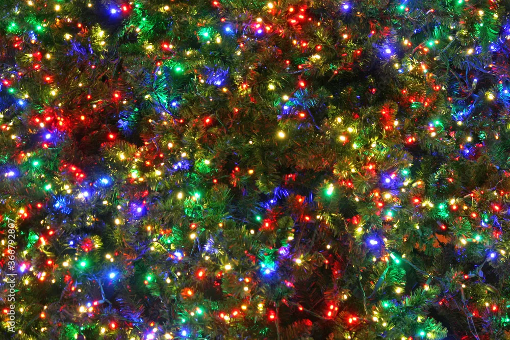 Twinkling Christmas lights creating a festive display